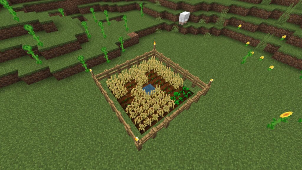 Plantação - Dicas para Minecraft